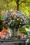 Aster Astée® Pretty Wendy Aster Astée® Pretty Wendy