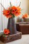 Hippeastrum Naranja ® Hippeastrum Naranja ®