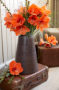 Hippeastrum Naranja ® Hippeastrum Naranja ®