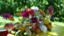  VIDEO Bloemen en fruit