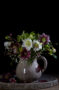 Helleborus bouquet