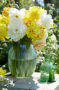 Narcissus bouquet