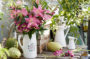 Roselily Patricia ® Roselily Patricia ®