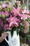 Roselily Patricia ® Roselily Patricia ®