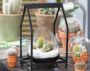 
  	  	  	
 
  	  	  	 
  	  	  	
Dutch 	
 
	  	  	
 
	  	  	
 
	  	  	
 
	  	  	
 
	  	  	
 
	  	  	
 
	  	  	
 
	  	 
	

  	  	  	
  	  	

  	  	  	
 
  	  	  	 
  	  	  	
Dutch 	
 
	  	  	
 
	  	  	
 
	  	  	
 
	  	  	
 
	  	  	
 
	  	  	
 
	  	  	
 
	  	 
	

  	  	  	
=
  	  	  	
 
  	  	  	 
  	  	  	
Dutch 	
 
	  	  	
 
	  	  	
 
	  	  	
 
	  	  	
 
	  	  	
 
	  	  	
 
	  	  	
 
	  	 
	

  	  	  	
Cactus combinatie in glas 	  	
  	
