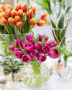 Tulipa bouquets