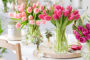 Tulipa Ivanka bouquet