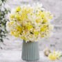 Narcissus Fragrant Mix