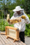 Beekeeper with observation hive