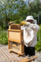 Beekeeper with observation hive