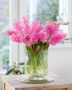 Hyacinthus Johanna bouquet