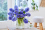 Hyacinthus Delft Blue boeket