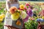 Dahlias in bicycle basket