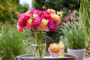 Colourful Dahlia bouquet