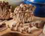 Buna-shimeji mushrooms, Hypsizygus tessulatus, Buna shimeji mushrooms, Hypsizygus tessulatus