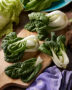 Bok choy Mini, Brassica rapa var. chinensis