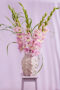Gladiolus Magenta Princess in vase , Forever Bulbs
