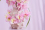  Gladiolus Magenta Princess bloemen, Forever Bulbs, For Ever Bulbs