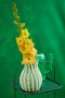  Gladiolus Blitz in vase, Forever Bulbs, For Ever Bulbs