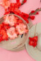 Flamencos gladiolen roze en rood, Forever Bulbs, For Ever Bulbs