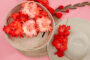 Flamencos gladiolen roze en rood, Forever Bulbs, For Ever Bulbs