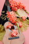 Gladiolus Teds Frizzle flowers, Forever Bulbs, Gladiolus Ted's Frizzle