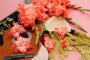 Gladiolus Teds Frizzle flowers, Forever Bulbs, Gladiolus Ted's Frizzle