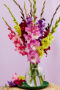  Mixed gladioli bouquet, Forever Bulbs