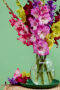  Mixed gladioli bouquet, Forever Bulbs