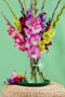  Mixed gladioli bouquet, Forever Bulbs