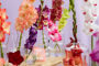 Gladiolus Multicoloros mix, Forever Bulbs, For Ever Bulbs