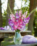 Gemengd Multicoloros gladiolen boeket ,  Forever Bulbs, For Ever Bulbs