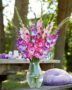 Mixed Multicoloros gladioli bouquet ,  Forever Bulbs, For Ever Bulbs