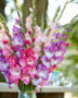 Mixed Multicoloros gladioli bouquet ,  Forever Bulbs