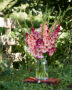 Mixed Multicoloros gladioli bouquet ,  Forever Bulbs