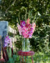 Mixed Multicoloros gladioli bouquet ,  Forever Bulbs, For Ever Bulbs