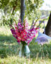 Gemengd Multicoloros gladiolen boeket ,  Forever Bulbs, For Ever Bulbs