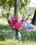 Mixed Multicoloros gladioli bouquet ,  Forever Bulbs, For Ever Bulbs