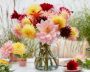 Mixed dahlias in vase