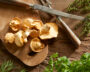 Pied de Mouton mushrooms