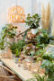 Kamerplanten collectie
Monstera minima
Philodendron White Wave
Ctenanthe Amagris
Alocasia Tiny Dancer
Syngonium Neon
Philodendron billietiae	
Nephrolepis Duffi