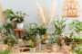 Indoor plant collection
Nephrolepis Duffi	
Philodendron
Alocasia Tiny Dancer
Philodendron White Wave
Philodendron mamei
Calathea insignis
Syngonium Neon
Monstera minima	
Syngonium Maria Brocante	
Philodendron Florida Green
Spathiphyllum Jet Diamond