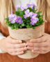 Hands holding pot with pansies