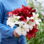 Lady holding bunch of lilies