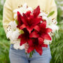 Lady holding bunch of lilies