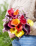 Lady holding mixed calla bouquet