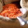 Red lentils in burlap sack with scoop