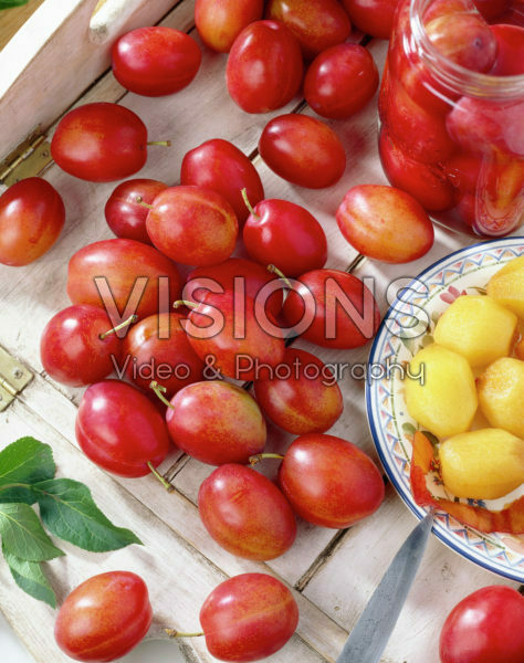 Prunus domestica Victoria Prunus domestica Victoria