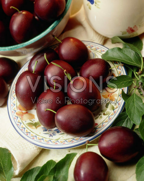 Prunus domestica Valour Prunus domestica Valour