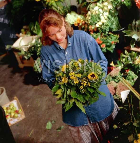 Summer, Helianthus, Rosa Summer, Helianthus, Rosa